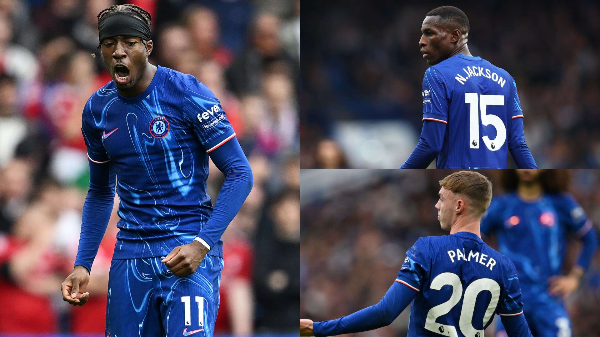 针对南方地 针对南方地